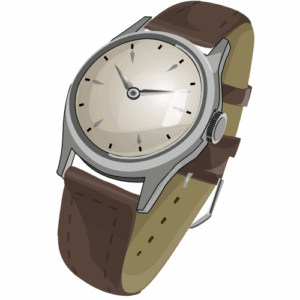 watch2 black belt and cooll view and sample